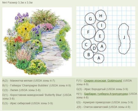 Клумбы миксбордеры схема
