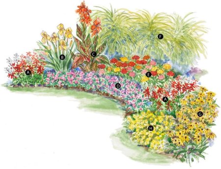 Клумба рабатка набросок