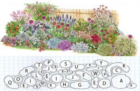 Миксбордер Луговой цветник план