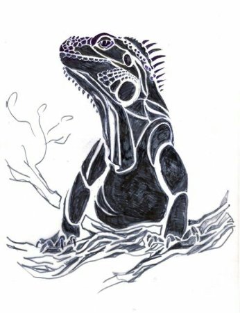 Игуана эскиз