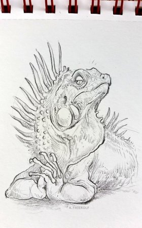 Игуана набросок