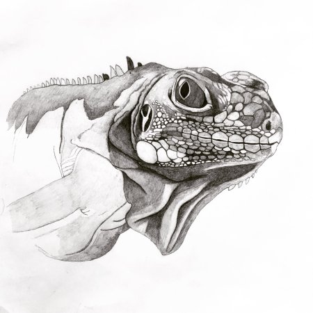 Игуана эскиз тату