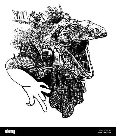 Варан рисунок в графическом стиле