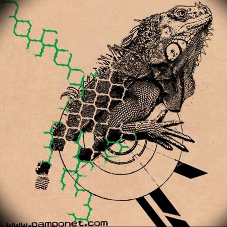 Игуана тату Графика