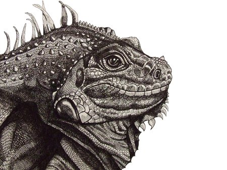 Алмазная мозаика игуана