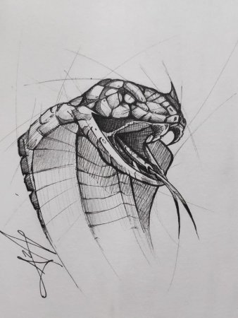 Эскизы рисунков