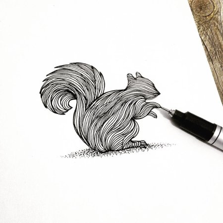 Тату белка эскиз