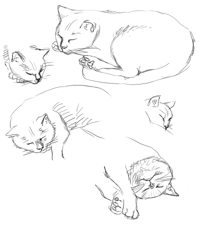 Кошка эскиз