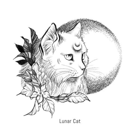 Контур кошки