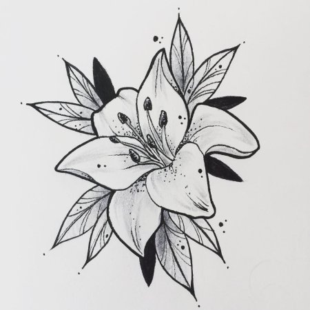 Рисунки цветов карандашом