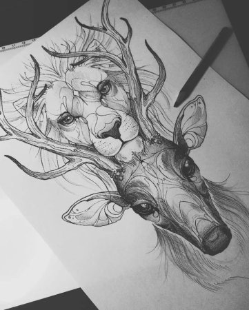 Тату эскизы животные