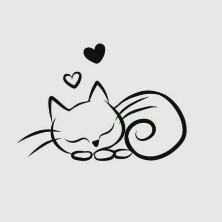 Коты Инь Янь