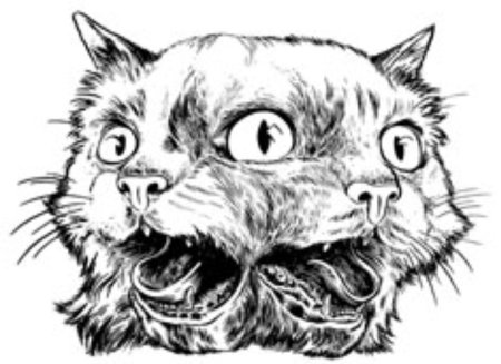 Кошка скетч