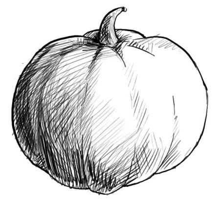 Фрукты и овощи карандашом