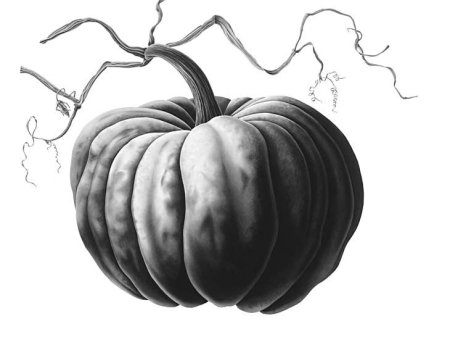 Графическая тыква