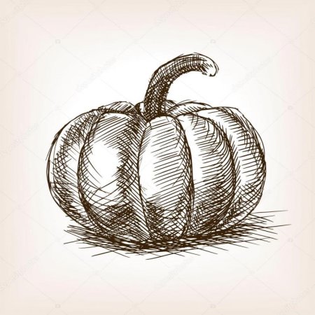 Тыква скетч