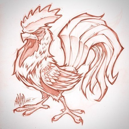 Зарисовка петуха