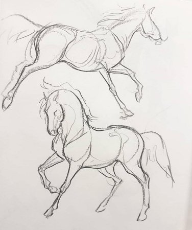 Лошадь рисунок карандашом