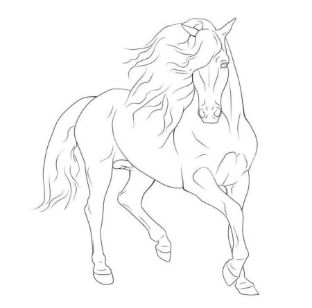 Лошадь рисунок карандашом