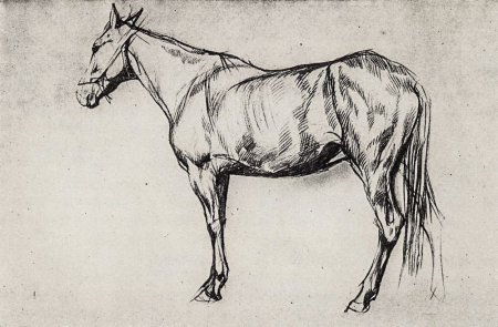Валентин Серов. Лошадь. 1884