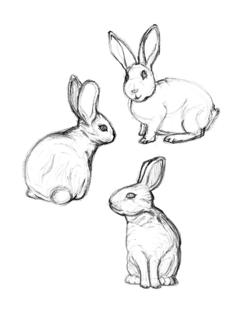 Кролик эскиз