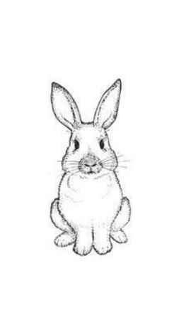 Кролик набросок