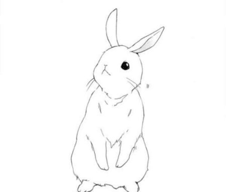 Зайчик набросок