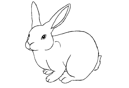 Кролик рисунок