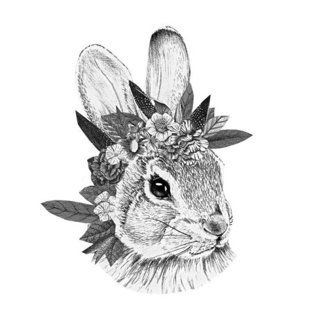 Кролик рисунок