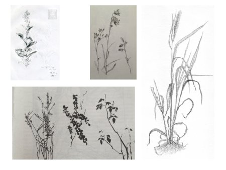 Рисунок основа изобразительного творчества