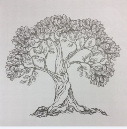 Красивый дуб карандашом