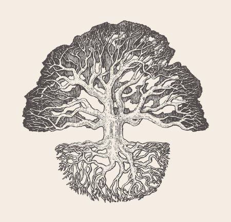 Дуб с корнями рисунок