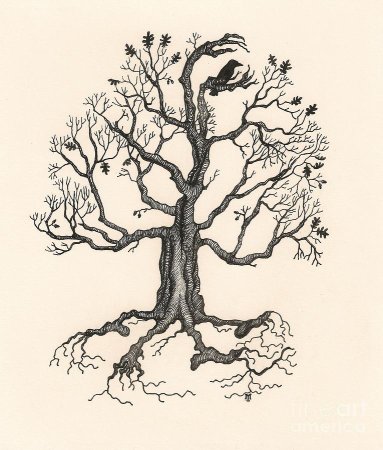 Эскиз дерева в цвете