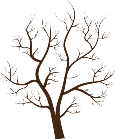 Рисунок дерева без листьев для детей эскиз (46 фото)