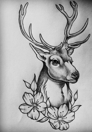 Олень эскиз