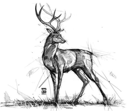 Олень скетч