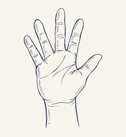 Нарисованная раскрытая ладонь