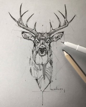 Скетч тату олень