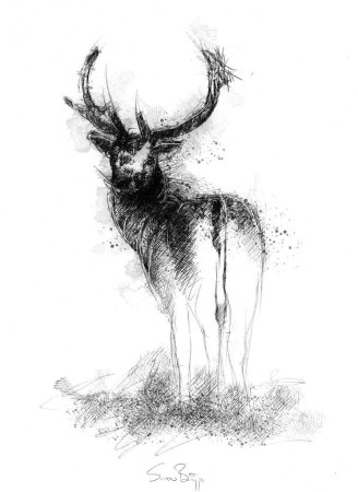 Олень эскиз рисунок