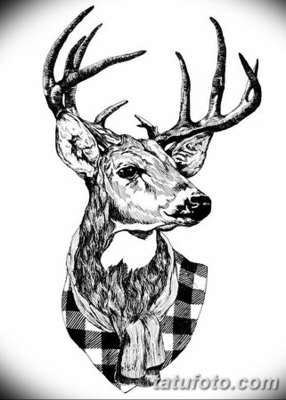 Олень в графике