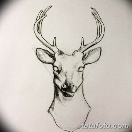 Морда оленя тату