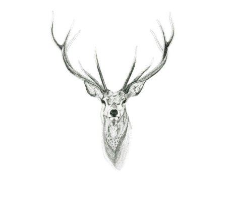 Олень тату эскиз