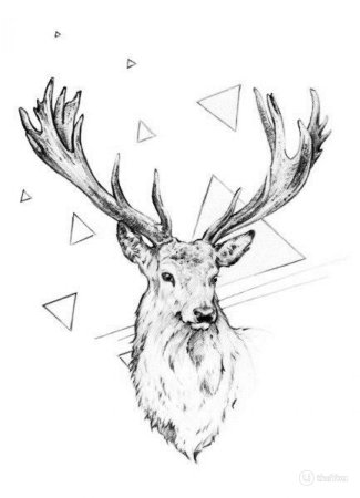 Тату олень черно белое