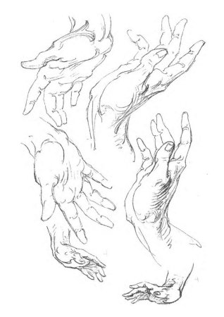 Кисть руки Бриджман