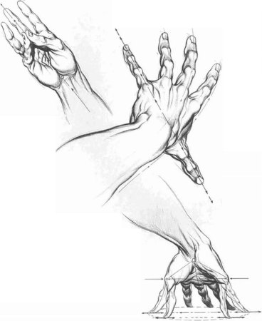 Зарисовки кистей рук