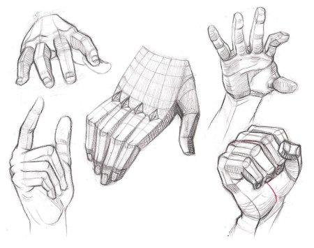 Анатомия рук для рисования