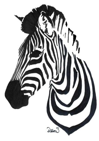 Трафаретная живопись Зебра