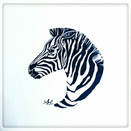 Зебра линером