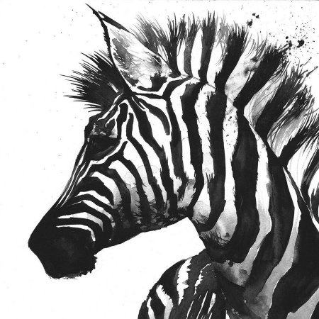 Зебра абстракция