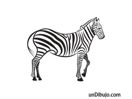 Зебра эскиз